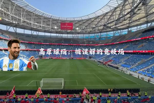 高原球场：被误解的竞技场